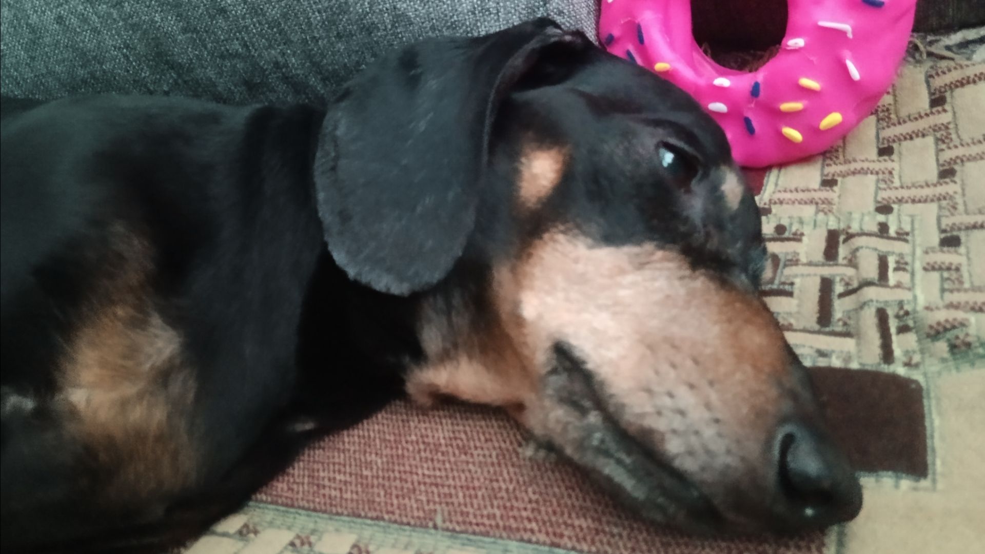 ВСЕМ ДОБРОЕ УТРО ОТ СТАСИКА и ОТ МЕНЯ