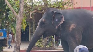 16 серия Едем в Амритапури