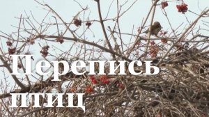 В ЛНР сокращается популяция воробьев / События недели