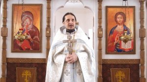 Добрые дела и добрые поступки - есть ли отличие? 
Сретение Господне : встреча в жизни как таинство