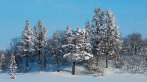 Ворожила зима