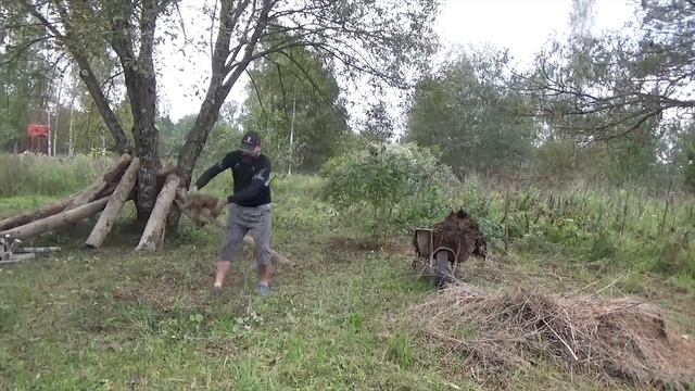 Жизнь в Деревне-Пересаживаю Кусты Сирени по Участку-За Одно Дрова Напилил-Осень
