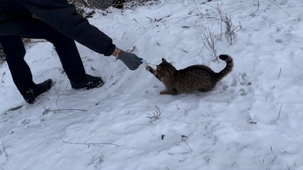 VLOG АРХИВ. ЗИМНЯЯ РЫБАЛКА. И МОИ ПОДОПЕЧНЫЕ.