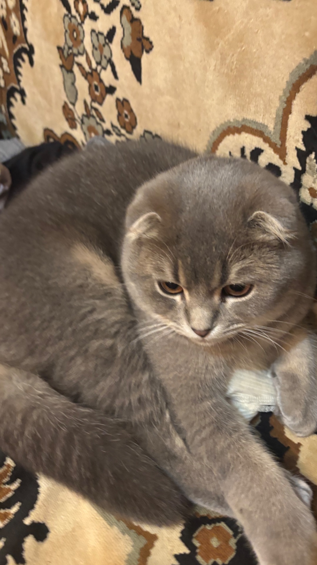 уезжаю домой от бабушки (вид из автобуса)