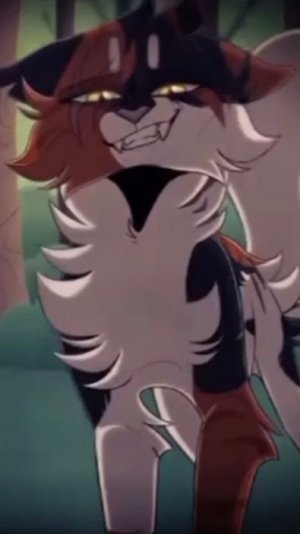 Эдит кленовницы(коты воители)