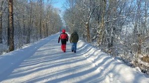 Кронштадт. Дорога к форту Риф (15.02.2026)