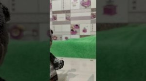 Миша заболел