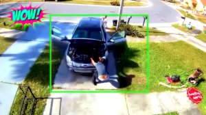 СМЕХ ДО СЛЕЗ: СМЕШНЫЕ ВИДЕО И ПРИКОЛЫ