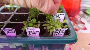 У ПРИРОДЫ НЕТ ПЛОХОЙ ПОГОДЫ