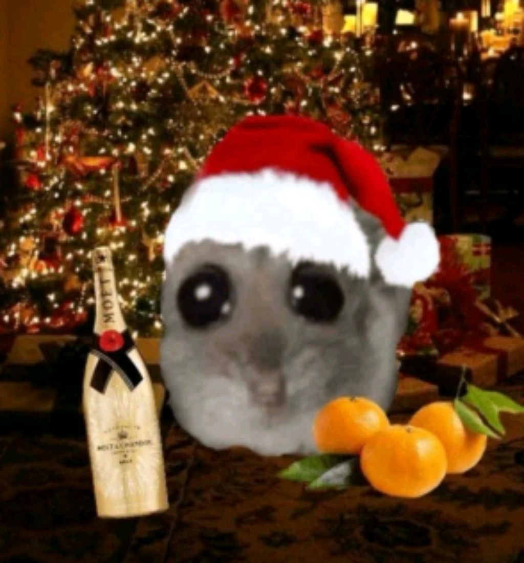 Палю лицо на 10 подписчиков смотреть онлайн