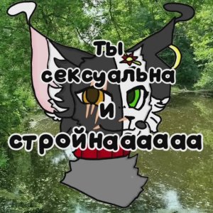 Любимой Темной Ночи❤| Коты Воители | Темная Ночь |