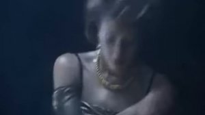 Серая зона - белый медведь