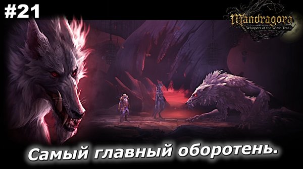 Самый главный оборотень | Mandragora Whispers of the Witch Tree | #21