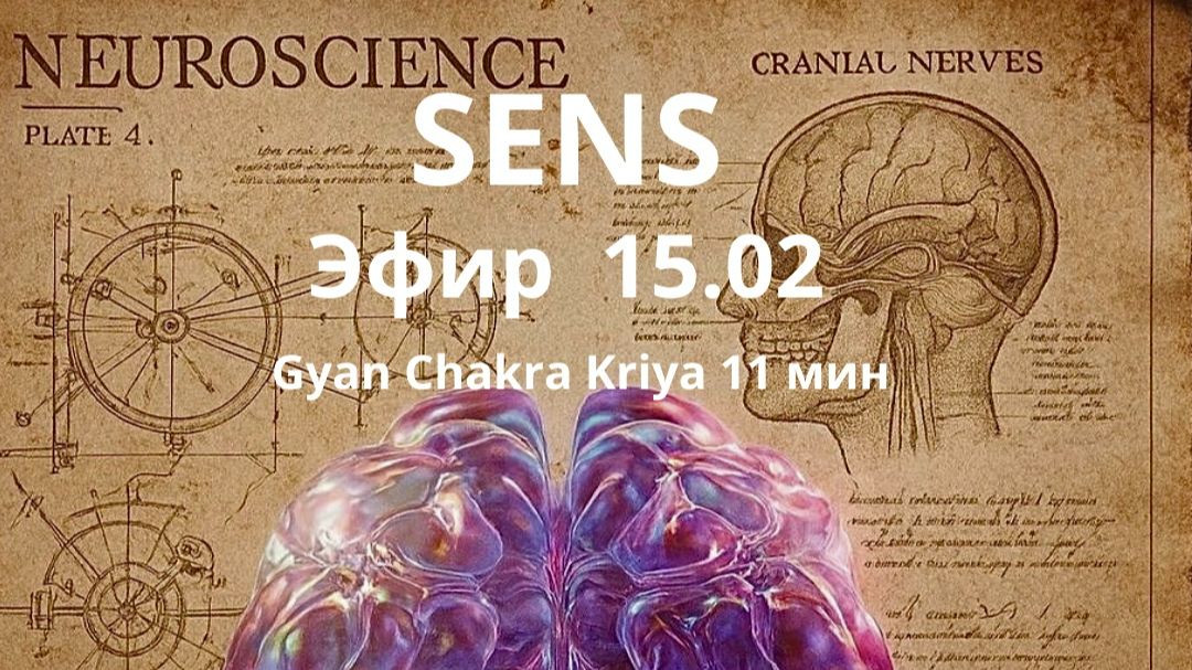 SENS Эфир от 15.02.2026 Gyan Chakra Kriya