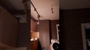 вешаю вещи с помощью АЛЛАГЬА Единого ❤️