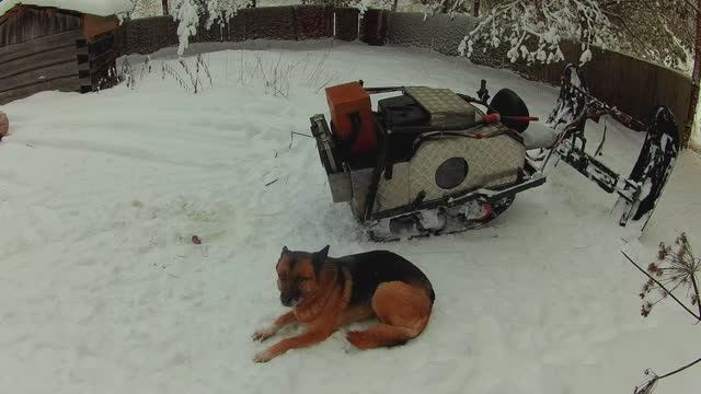 Что лучше мотособака или миниснегоход Лифан 15-после 16 лет эксплуатации