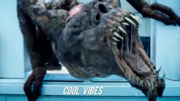 Vanilla Ninja - Cool Vibes