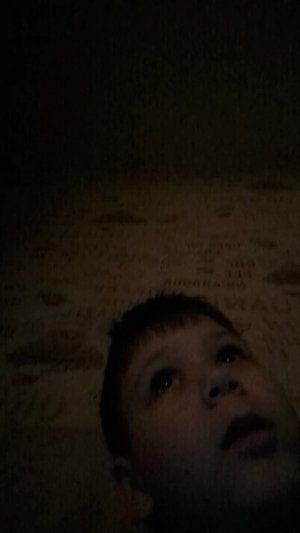 roblox 99 ночей в лесу