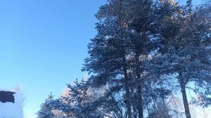 Февраль  морозно