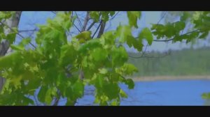 Александр Иллюзов - Неповторимая (Single) (2026)