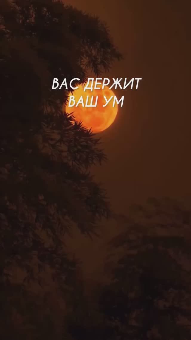 ВАС ДЕРЖИТ ВАШ УМ #притяжение #энергияжизни #внутреннийрост #гармония