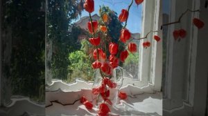 Фотонатюрморт © Copyright: Бронислав Сычёв, 2026
Свидетельство о публикации №126021403531