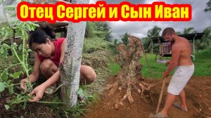 Отец Сергей и Сын Иван | Папа выздоравливает | В саду появилась маракуйя | Из земли извлечен корень