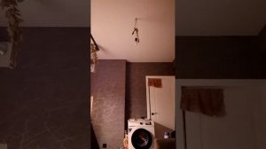 ем и живу с помощью АЛЛАГЬА ❤️