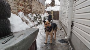 весна наверное пришла