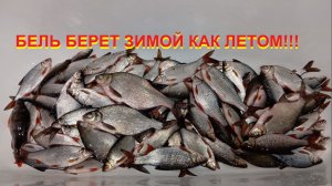 Бель берет зимой как летом!!!