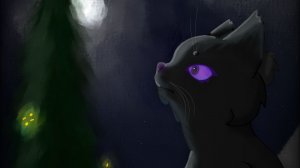 На конкурс White Night KV