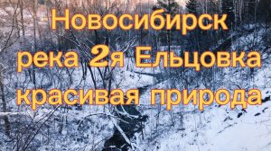Новосибирск, река 2я Ельцовка зимой, прогулка по берегу. Красивая природа.