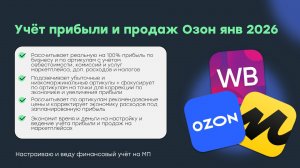 Учёт прибыли и продаж на маркетплейсах ОЗН для селлеров Озон версия январь 2026