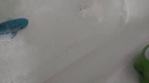 ам ням и акулёнок