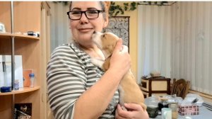 1057 Ездили по Станицам.Обманывали людей. Жизнь в Станице на юге.