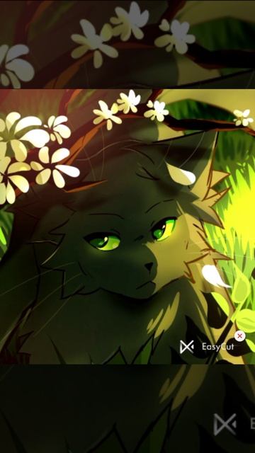 ОСТРОЛИСТАЯ