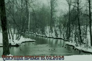 Текущее время 15.02.2026