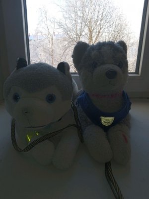 знакомство с нами