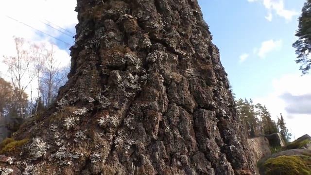 Коп по Старине .Мы нашли заброшенную деревню ,и удача улыбнулась нам .Этим домам смотреть онлайн