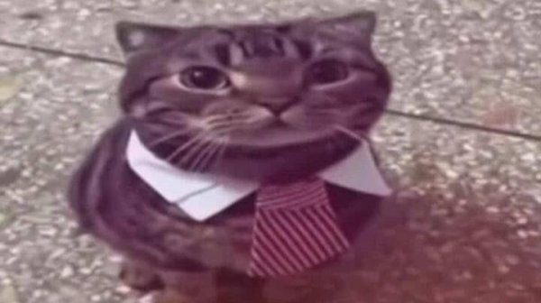 Grand Theft Auto  San Andreas 2026.02.14 - 20.43.23.02