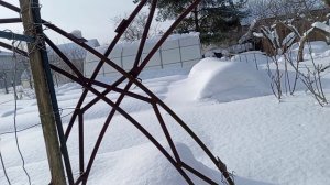 ФЕВРАЛЬСКИЙ САД И ОГОРОД. ЧАСТЬ 2.