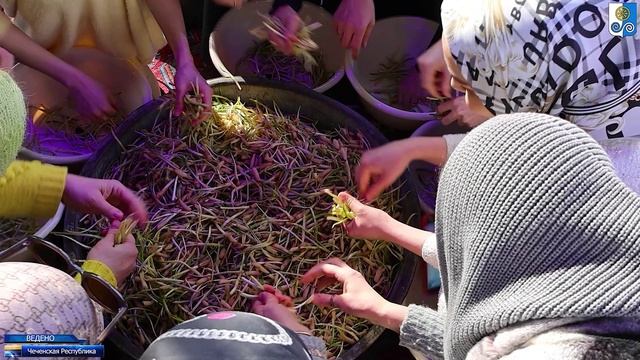 Хьок-фест-5 смотреть онлайн