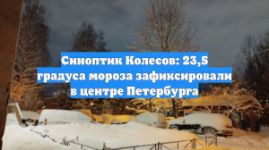 Синоптик Колесов: 23,5 градуса мороза зафиксировали в центре Петербурга