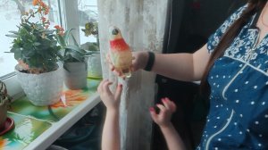 15-02-2026 деревенское счастье словно весна