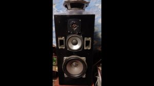 НЧ динамики для Веги 50Ас 106