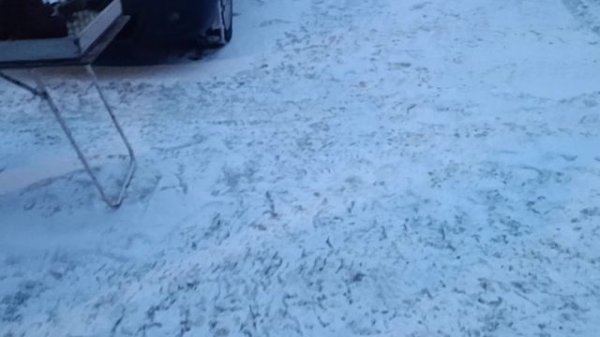 15.02.26 ИСТРА#РЫНОК#ГОЛУБЕЙ#