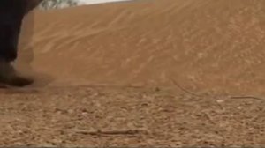 Колизей
сл. А. Лукашин муз. Ю. Бойков