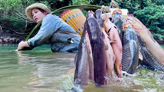 Ловлю гигантский косяк карпов бамбуковой удочкой.Традиционные навыки рыбалки Вьетнама. Хуонг смотреть онлайн
