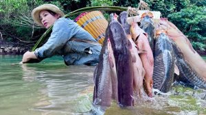 Ловлю гигантский косяк карпов бамбуковой удочкой.Традиционные навыки рыбалки Вьетнама. Хуонг