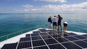 Комби-ролики ! (14)